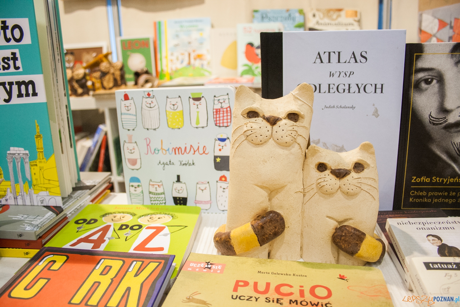 Festiwal Sztuki i Przedmiotów Artystycznych (2.12.2016) MTP Foto: © lepszyPOZNAN.pl / Karolina Kiraga Festiwal Sztuki i Przedmiotów Artystycznych (2.12.2016) MTP Foto: © lepszyPOZNAN.pl / Karolina Kiraga