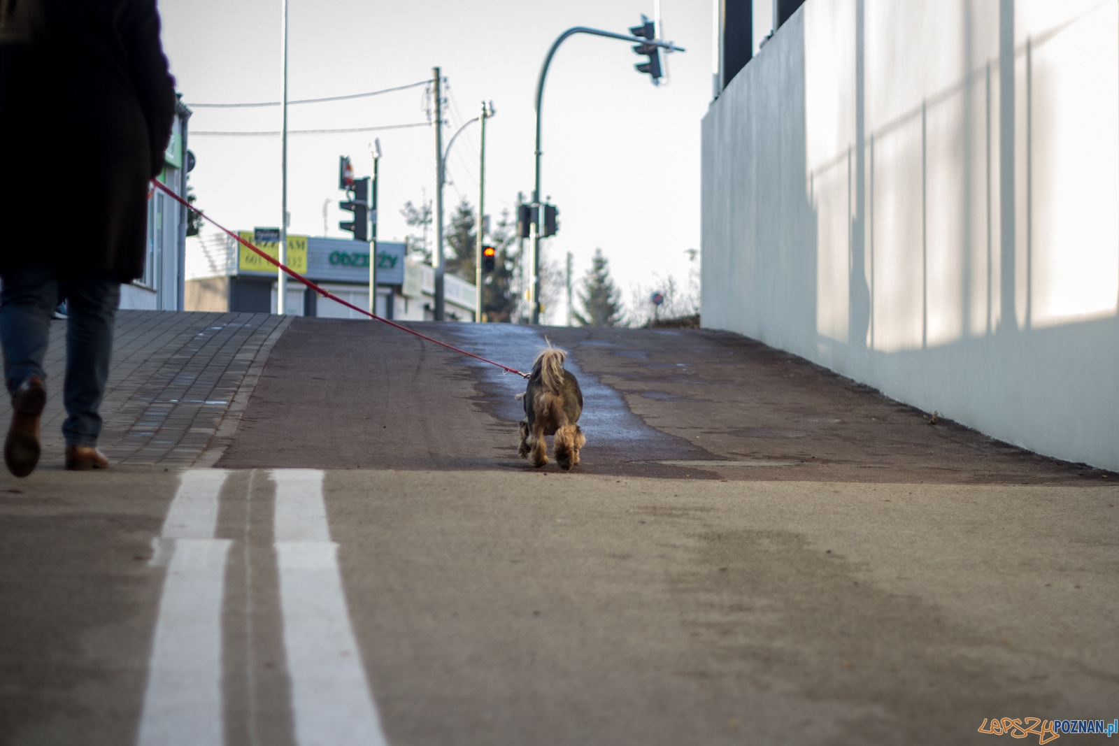 Otwarcie tunelu na Czechosłowackiej Foto: lepszyPOZNAN.pl / Ewelina Jaśkowiak Otwarcie tunelu na Czechosłowackiej Foto: lepszyPOZNAN.pl / Ewelina Jaśkowiak