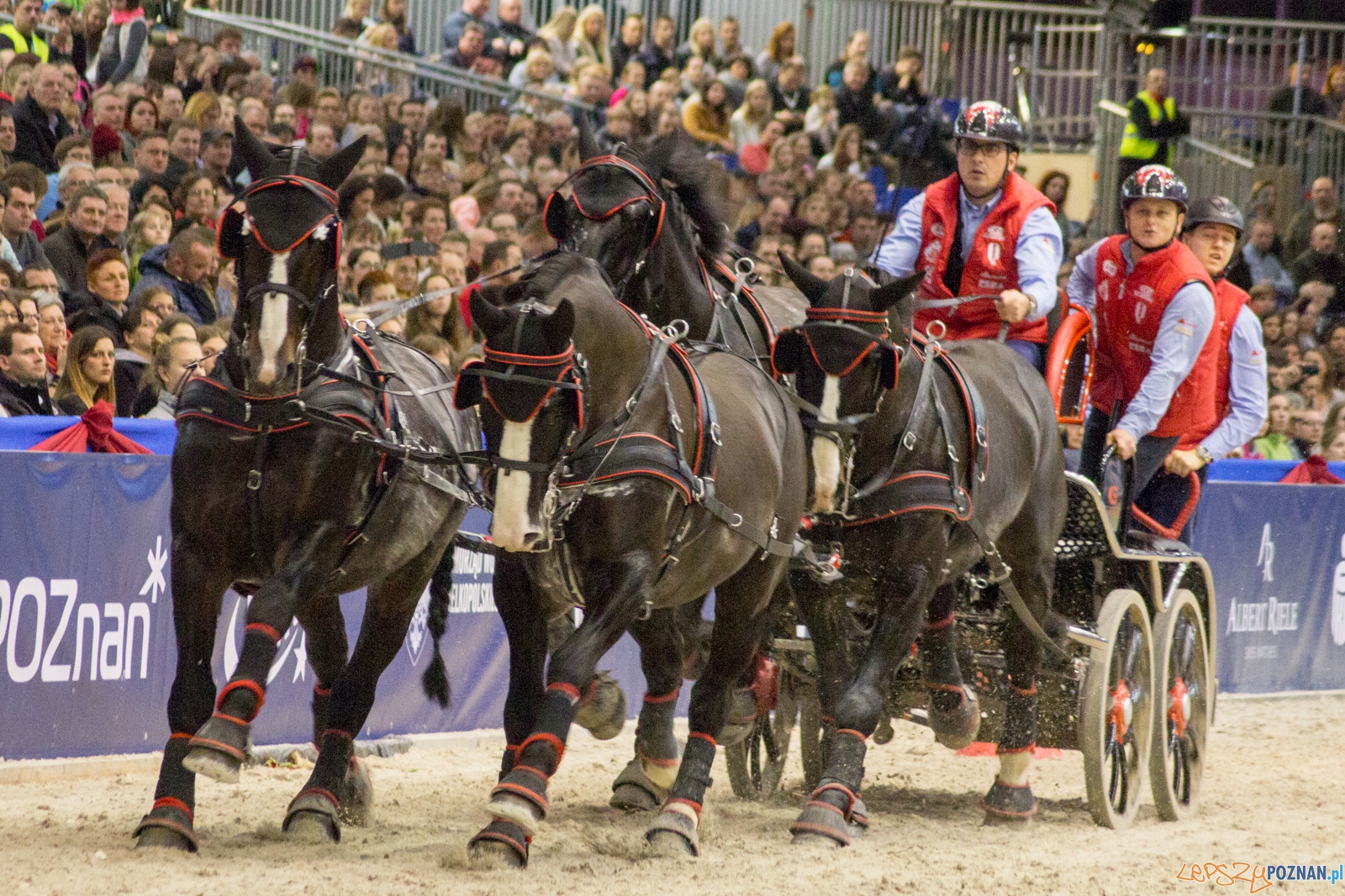 Cavaliada Halowy Puchar Polski w Powożeniu Zaprzęgami Czterok Foto: Ewelina Jaśkowiak Cavaliada Halowy Puchar Polski w Powożeniu Zaprzęgami Czterok Foto: Ewelina Jaśkowiak