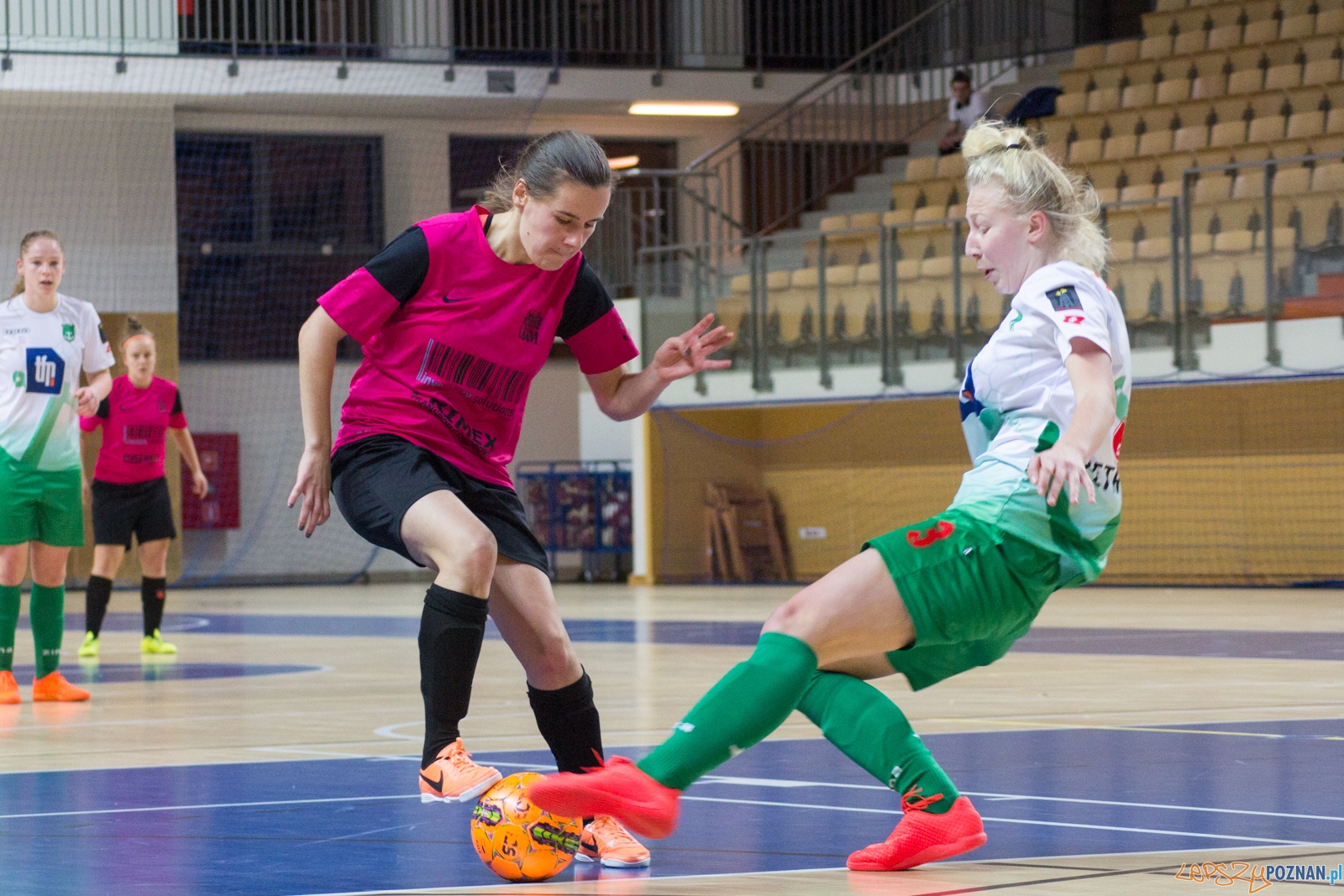 AZS UAM Poznań - Kotwica Kórnik Foto: Ewelina Jaśkowiak AZS UAM Poznań - Kotwica Kórnik Foto: Ewelina Jaśkowiak