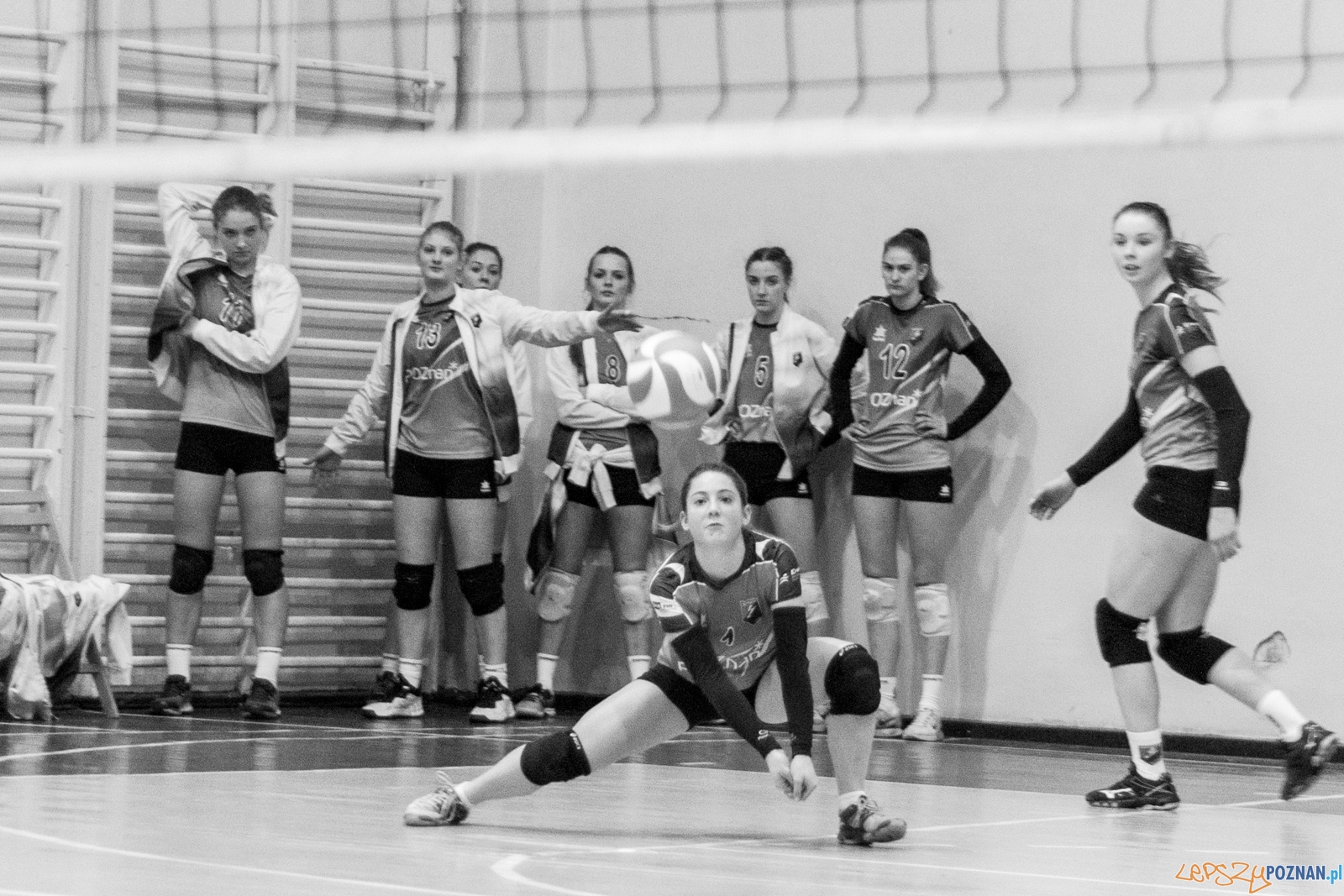 untitled-5652  Foto: Ewelina Jaśkowiak