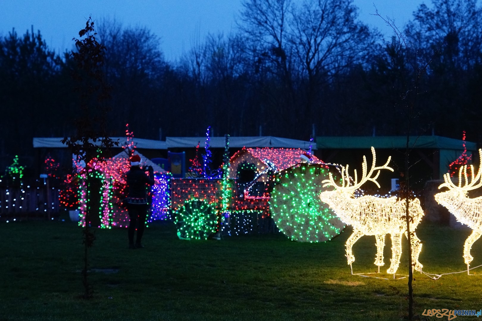 Kraina Świętego Mikołaja Foto: ExPress / materiały prasowe Kraina Świętego Mikołaja Foto: ExPress / materiały prasowe