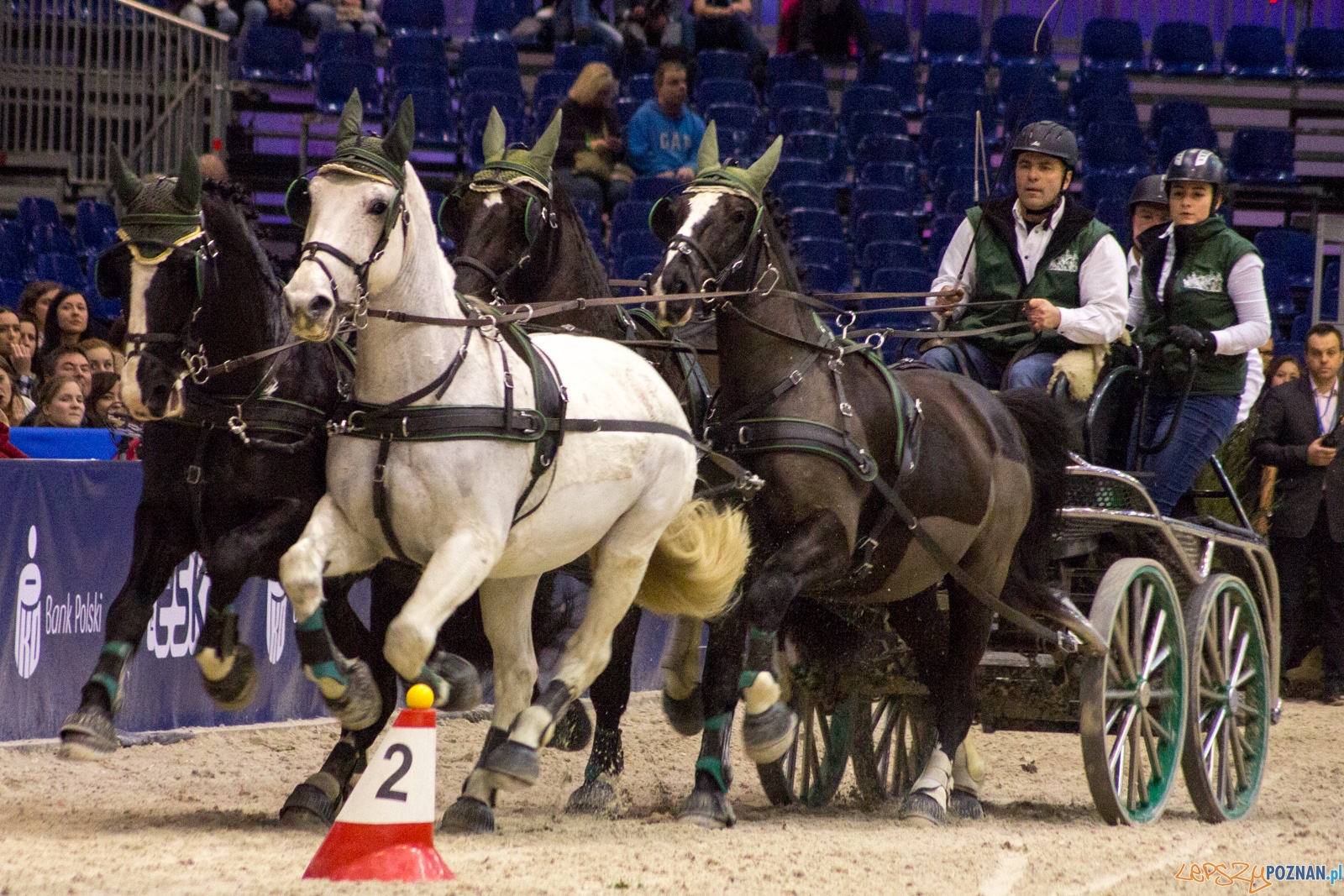Cavaliada Halowy Puchar Polski w Powożeniu Zaprzęgami Czterok Foto: Ewelina Jaśkowiak Cavaliada Halowy Puchar Polski w Powożeniu Zaprzęgami Czterok Foto: Ewelina Jaśkowiak