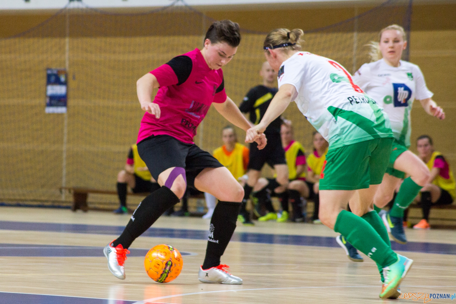 AZS UAM Poznań - Kotwica Kórnik Foto: Ewelina Jaśkowiak AZS UAM Poznań - Kotwica Kórnik Foto: Ewelina Jaśkowiak