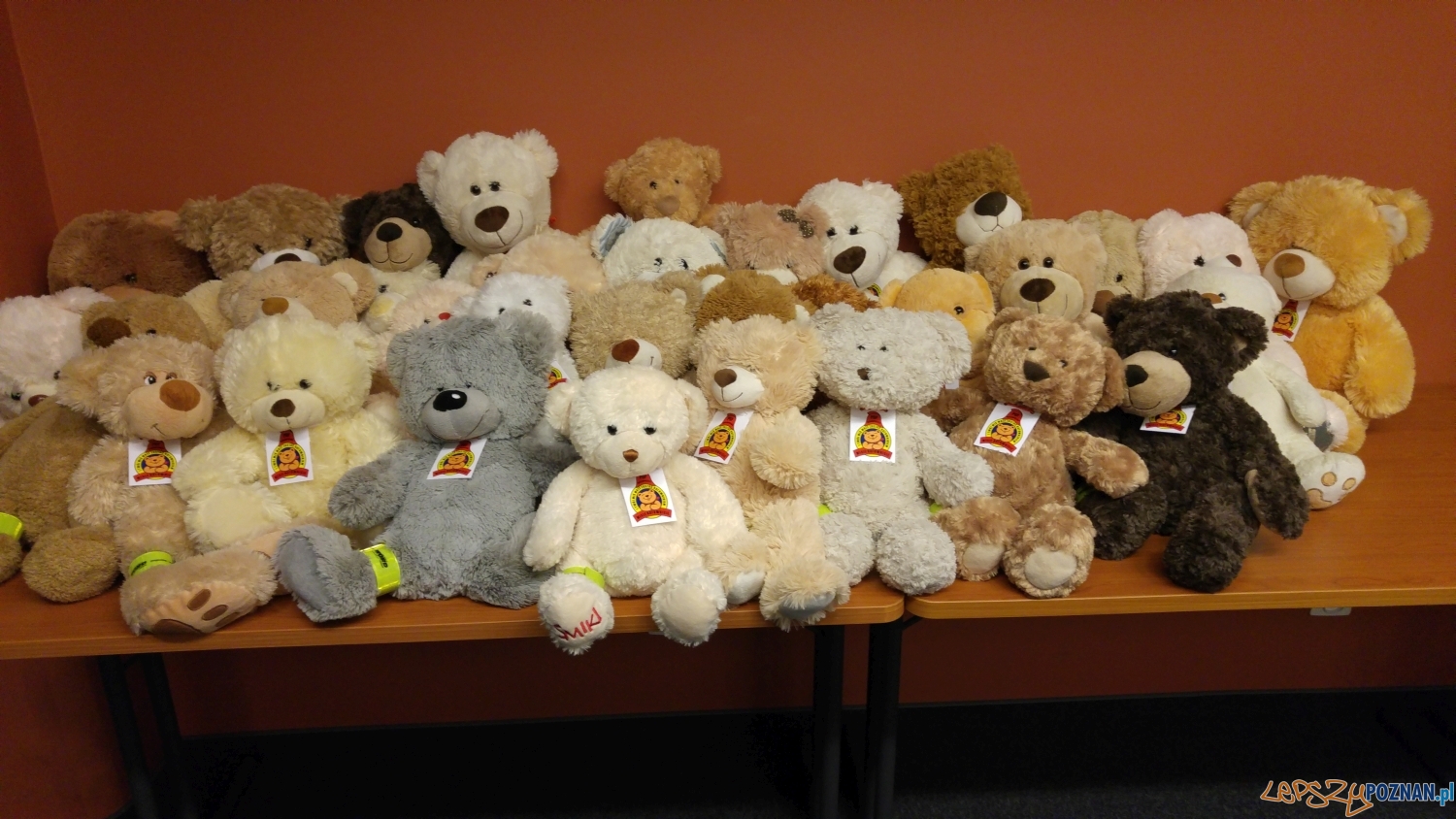 I Twój miś może zostać ratownikiem Foto: PSP w Poznaniu I Twój miś może zostać ratownikiem Foto: PSP w Poznaniu