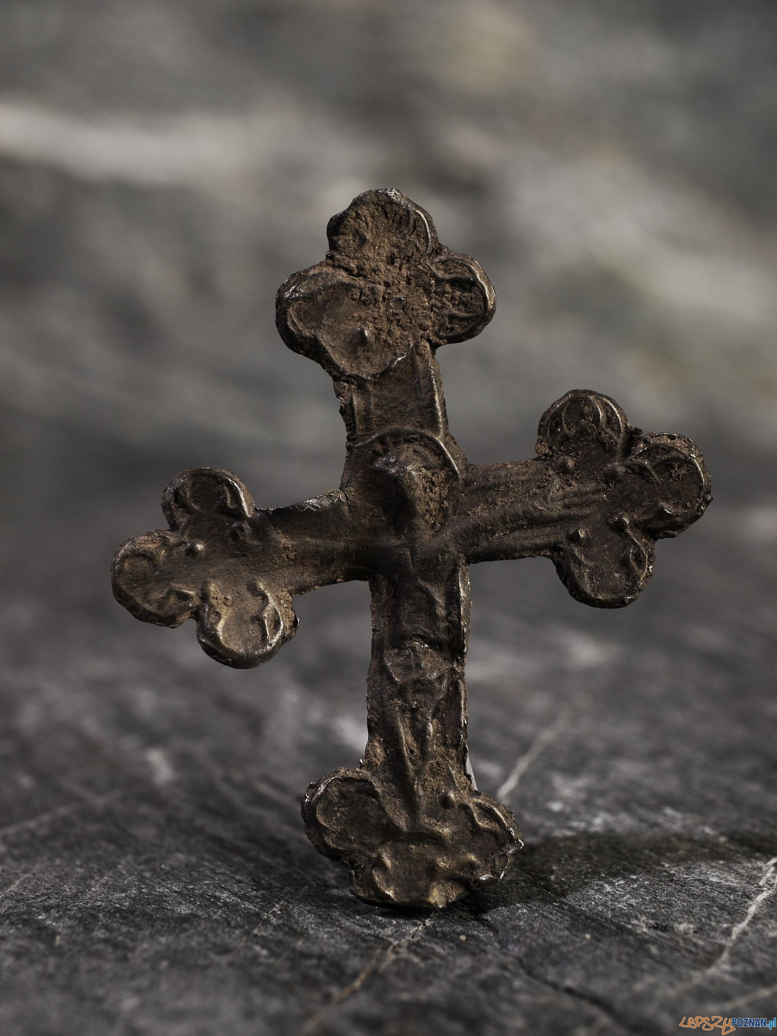 Krzyżyk Foto: Kateriny Zisopulu-Bleja Krzyżyk Foto: Kateriny Zisopulu-Bleja