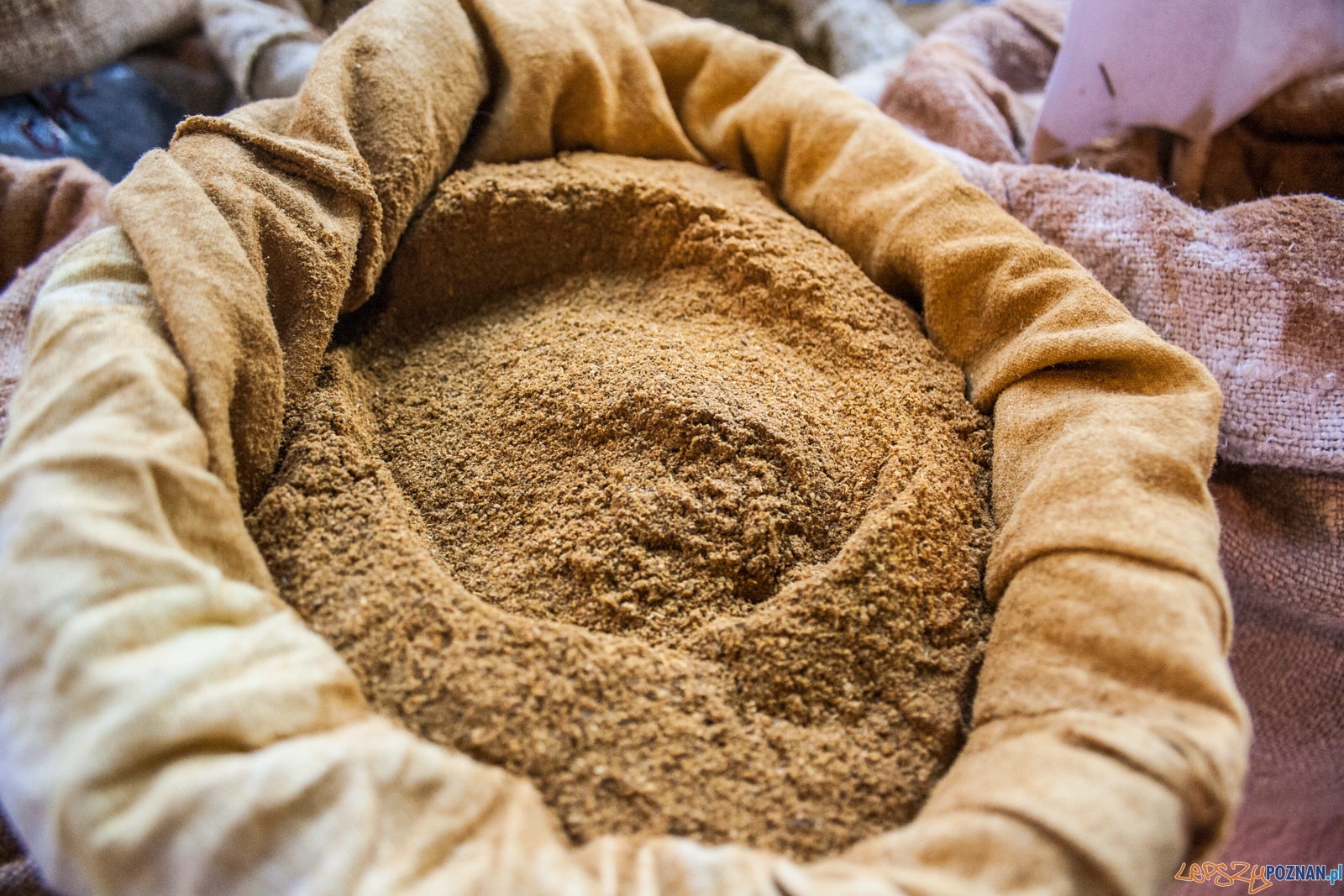 Festiwal Sztuki i Przedmiotów Artystycznych (2.12.2016) MTP Foto: © lepszyPOZNAN.pl / Karolina Kiraga Festiwal Sztuki i Przedmiotów Artystycznych (2.12.2016) MTP Foto: © lepszyPOZNAN.pl / Karolina Kiraga