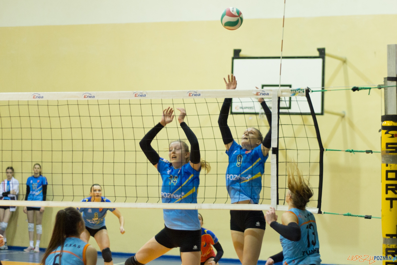 untitled-5630 Foto: Ewelina Jaśkowiak untitled-5630 Foto: Ewelina Jaśkowiak