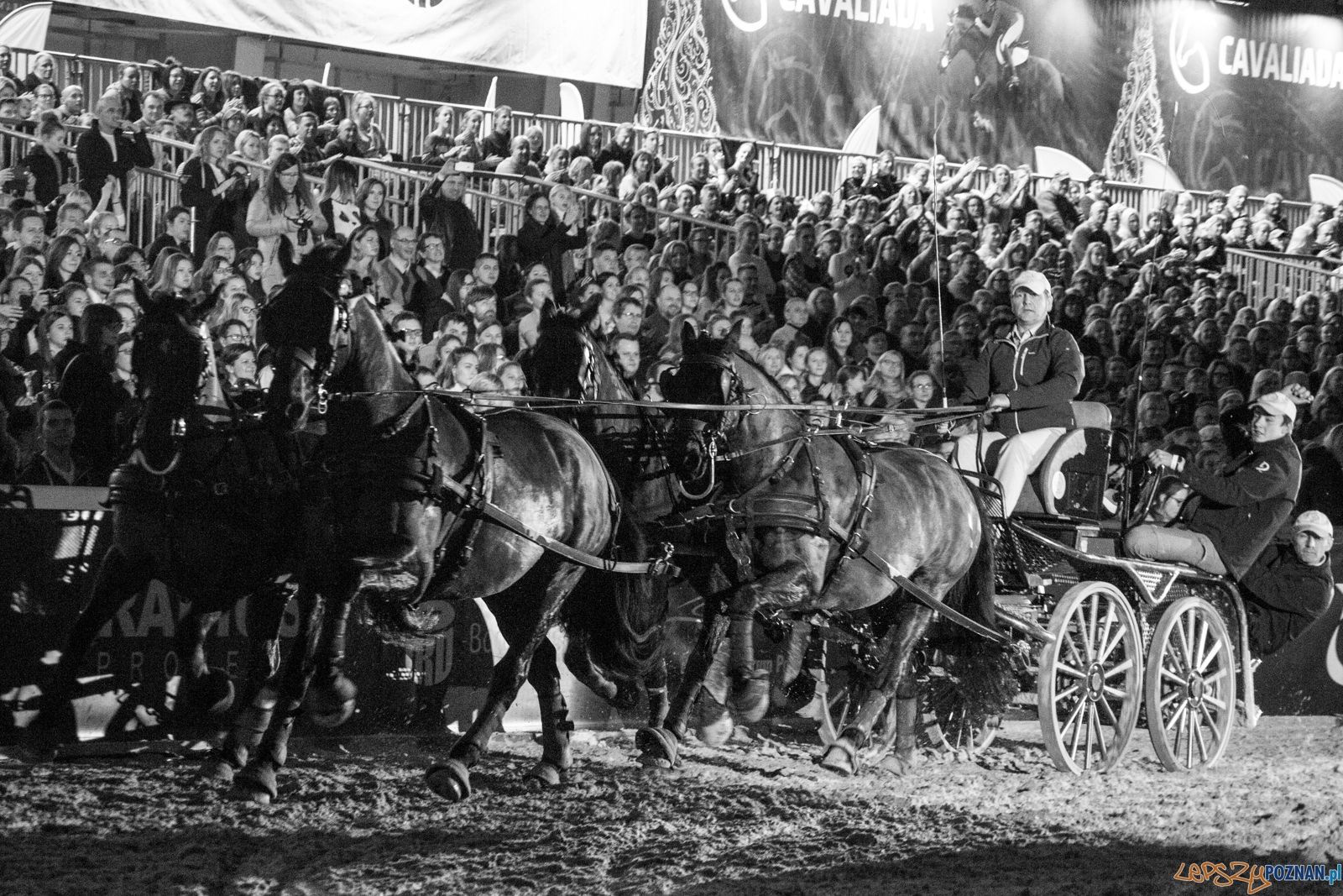 Cavaliada Halowy Puchar Polski w Powożeniu Zaprzęgami Czterok Foto: Ewelina Jaśkowiak Cavaliada Halowy Puchar Polski w Powożeniu Zaprzęgami Czterok Foto: Ewelina Jaśkowiak