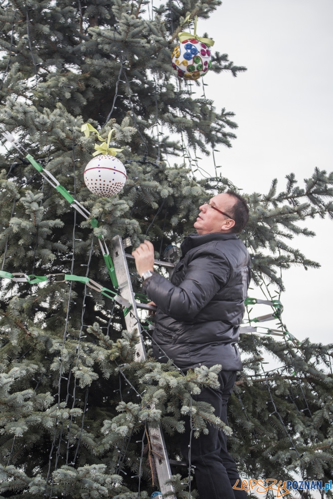 Choinka wspólnie udekorowana Foto: UMiG Murowana Goślina / Kamil Grzebyta Choinka wspólnie udekorowana Foto: UMiG Murowana Goślina / Kamil Grzebyta