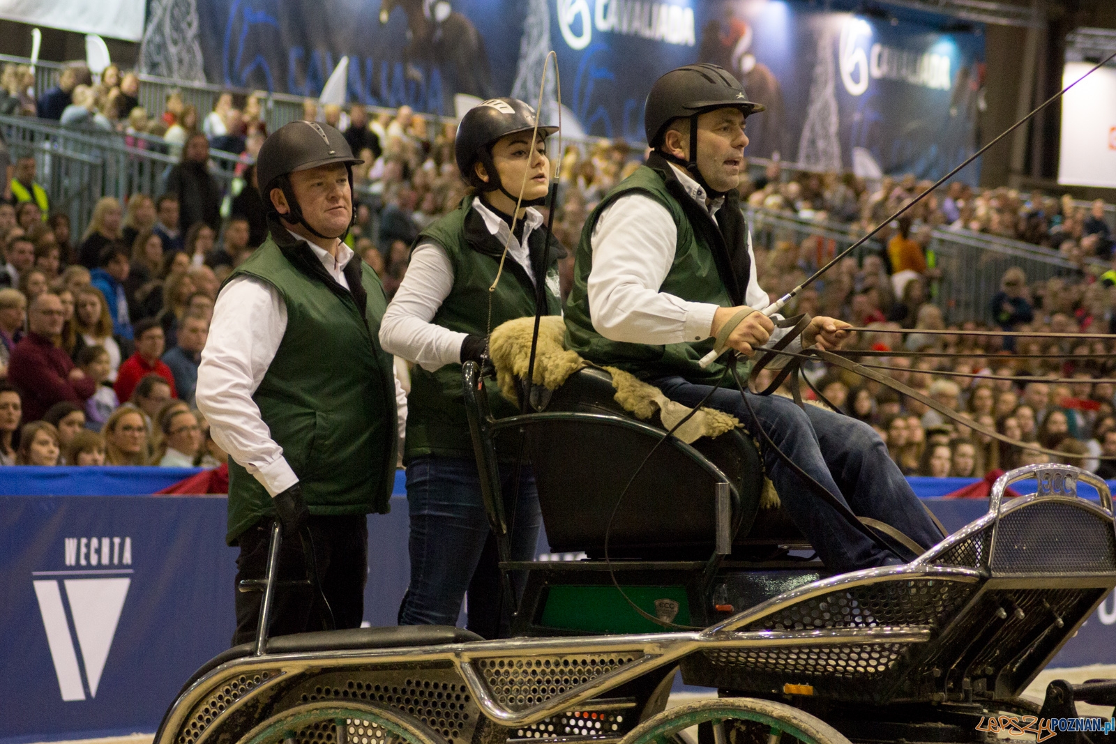 Cavaliada Halowy Puchar Polski w Powożeniu Zaprzęgami Czterok Foto: Ewelina Jaśkowiak Cavaliada Halowy Puchar Polski w Powożeniu Zaprzęgami Czterok Foto: Ewelina Jaśkowiak