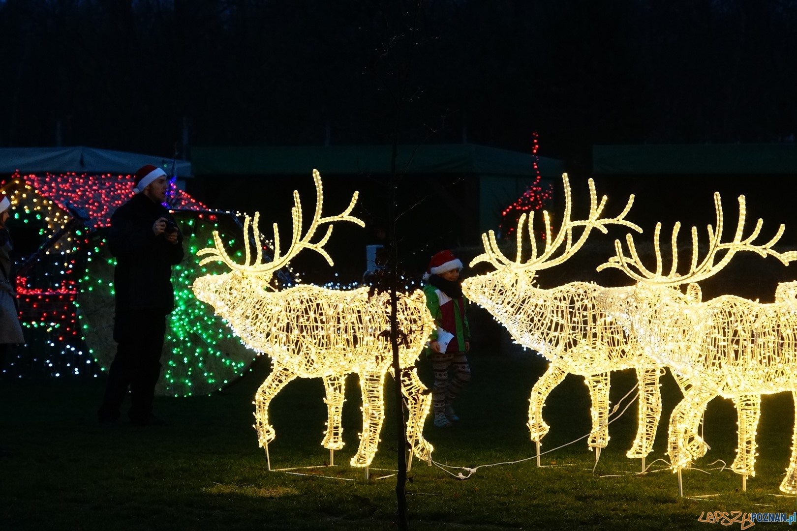 Kraina Świętego Mikołaja Foto: ExPress / materiały prasowe Kraina Świętego Mikołaja Foto: ExPress / materiały prasowe