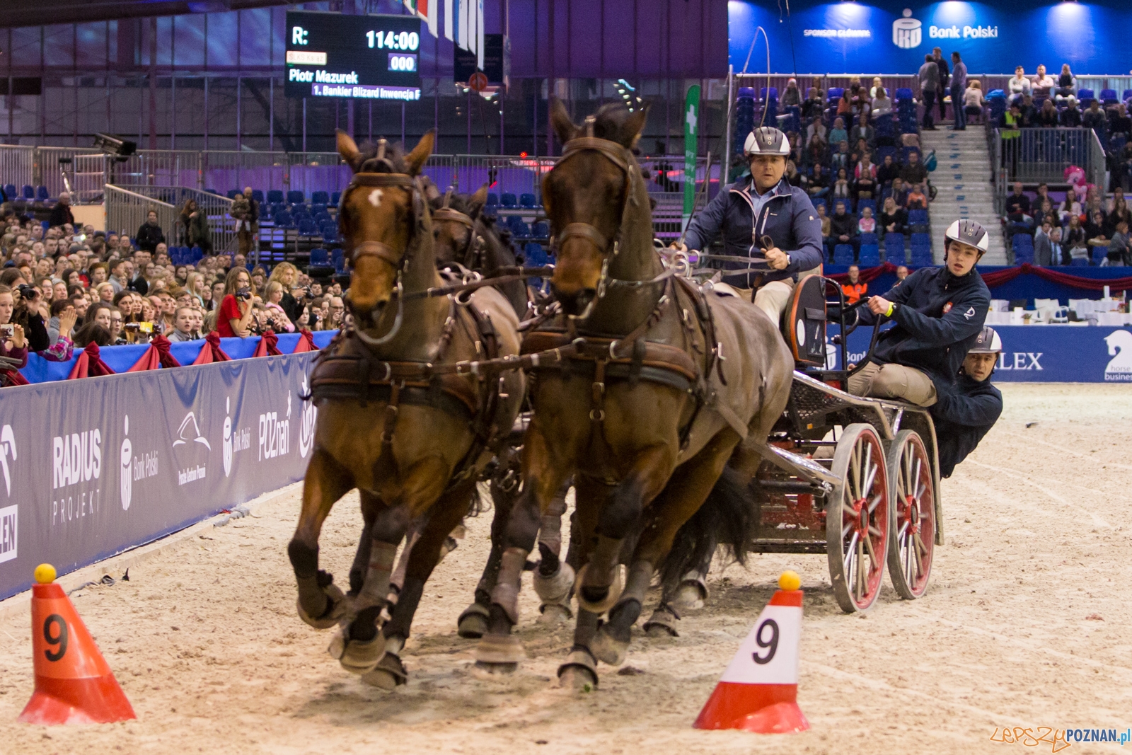 Cavaliada - Halowy Puchar Polski w Powożeniu Zaprzęgami Cztero Foto: lepszyPOZNAN.pl / Piotr Rychter Cavaliada - Halowy Puchar Polski w Powożeniu Zaprzęgami Cztero Foto: lepszyPOZNAN.pl / Piotr Rychter