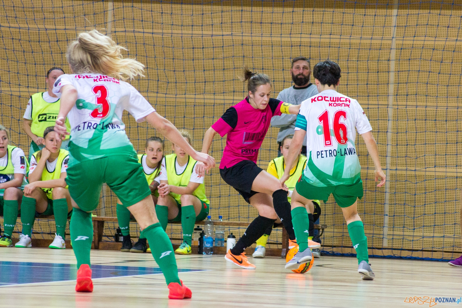 AZS UAM Poznań - Kotwica Kórnik Foto: Ewelina Jaśkowiak AZS UAM Poznań - Kotwica Kórnik Foto: Ewelina Jaśkowiak