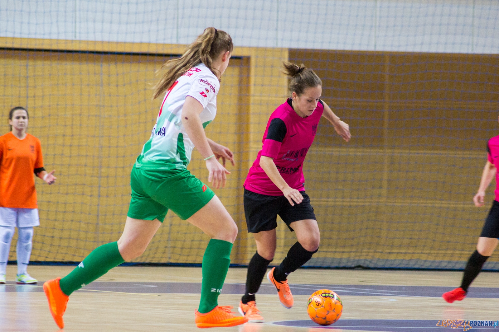 AZS UAM Poznań - Kotwica Kórnik Foto: Ewelina Jaśkowiak AZS UAM Poznań - Kotwica Kórnik Foto: Ewelina Jaśkowiak