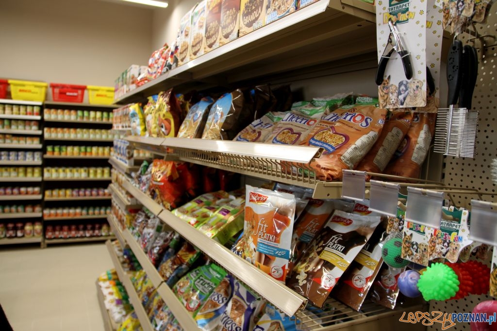 Shop Lab na Uniwersytecie Ekonomicznym Foto: materiały UEP Shop Lab na Uniwersytecie Ekonomicznym Foto: materiały UEP