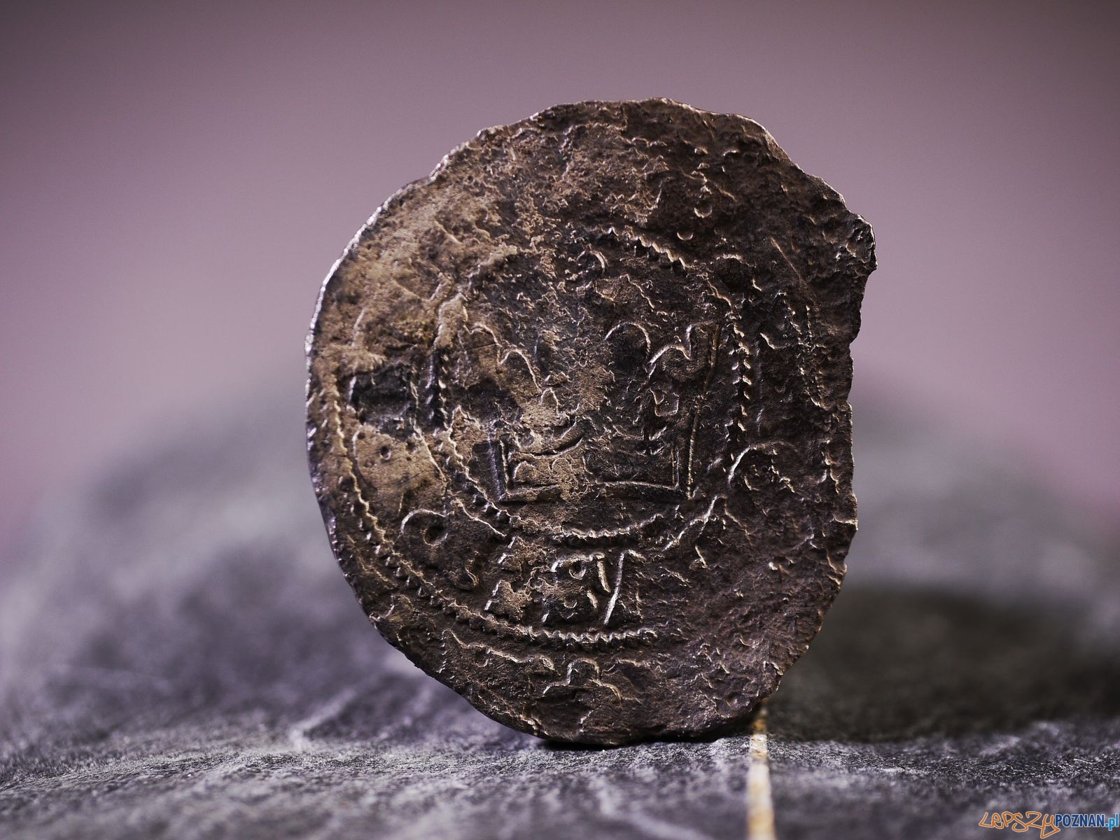 Grosz praski Foto: Kateriny Zisopulu-Bleja Grosz praski Foto: Kateriny Zisopulu-Bleja