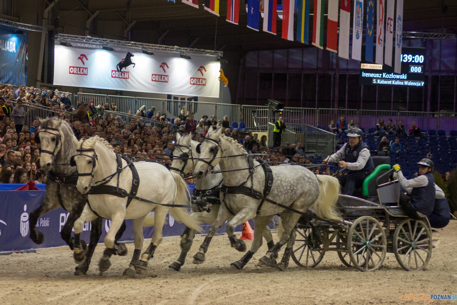 Cavaliada Halowy Puchar Polski w Powożeniu Zaprzęgami Czterok Foto: Ewelina Jaśkowiak Cavaliada Halowy Puchar Polski w Powożeniu Zaprzęgami Czterok Foto: Ewelina Jaśkowiak