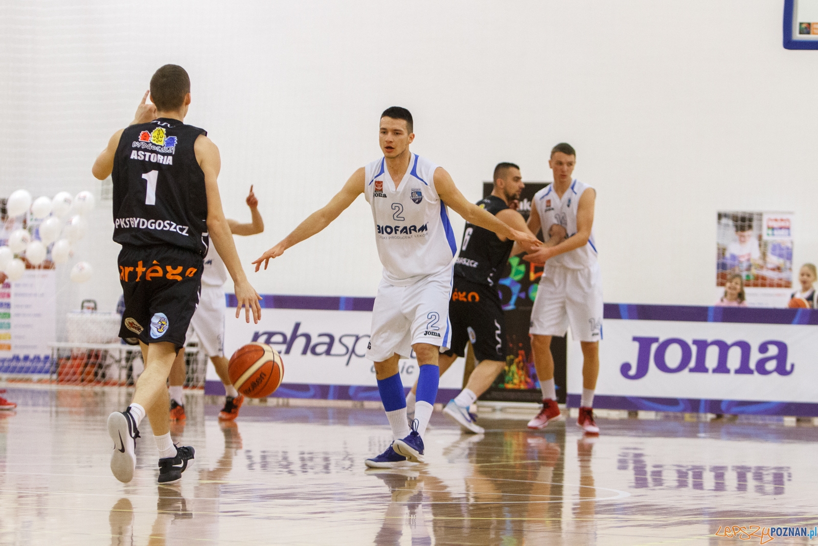 Biofarm Basket Poznań - Astoria Bydgoszcz - 1 liga - Poznań 17 Foto: LepszyPOZNAN.pl / Paweł Rychter Biofarm Basket Poznań - Astoria Bydgoszcz - 1 liga - Poznań 17 Foto: LepszyPOZNAN.pl / Paweł Rychter