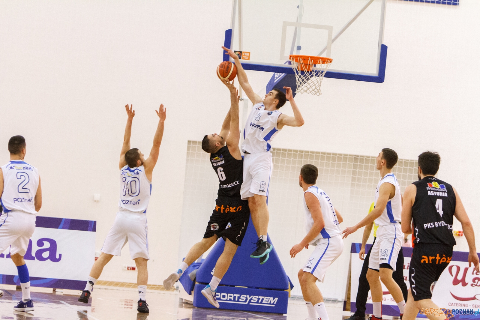 Biofarm Basket Poznań - Astoria Bydgoszcz - 1 liga - Poznań 17 Foto: LepszyPOZNAN.pl / Paweł Rychter Biofarm Basket Poznań - Astoria Bydgoszcz - 1 liga - Poznań 17 Foto: LepszyPOZNAN.pl / Paweł Rychter