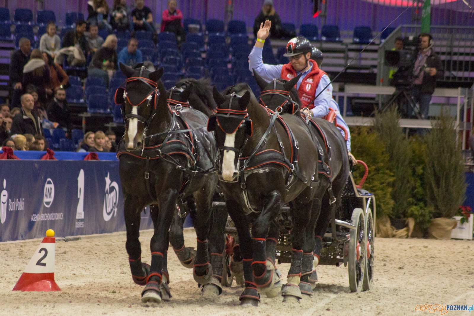 Cavaliada Halowy Puchar Polski w Powożeniu Zaprzęgami Czterok Foto: Ewelina Jaśkowiak Cavaliada Halowy Puchar Polski w Powożeniu Zaprzęgami Czterok Foto: Ewelina Jaśkowiak