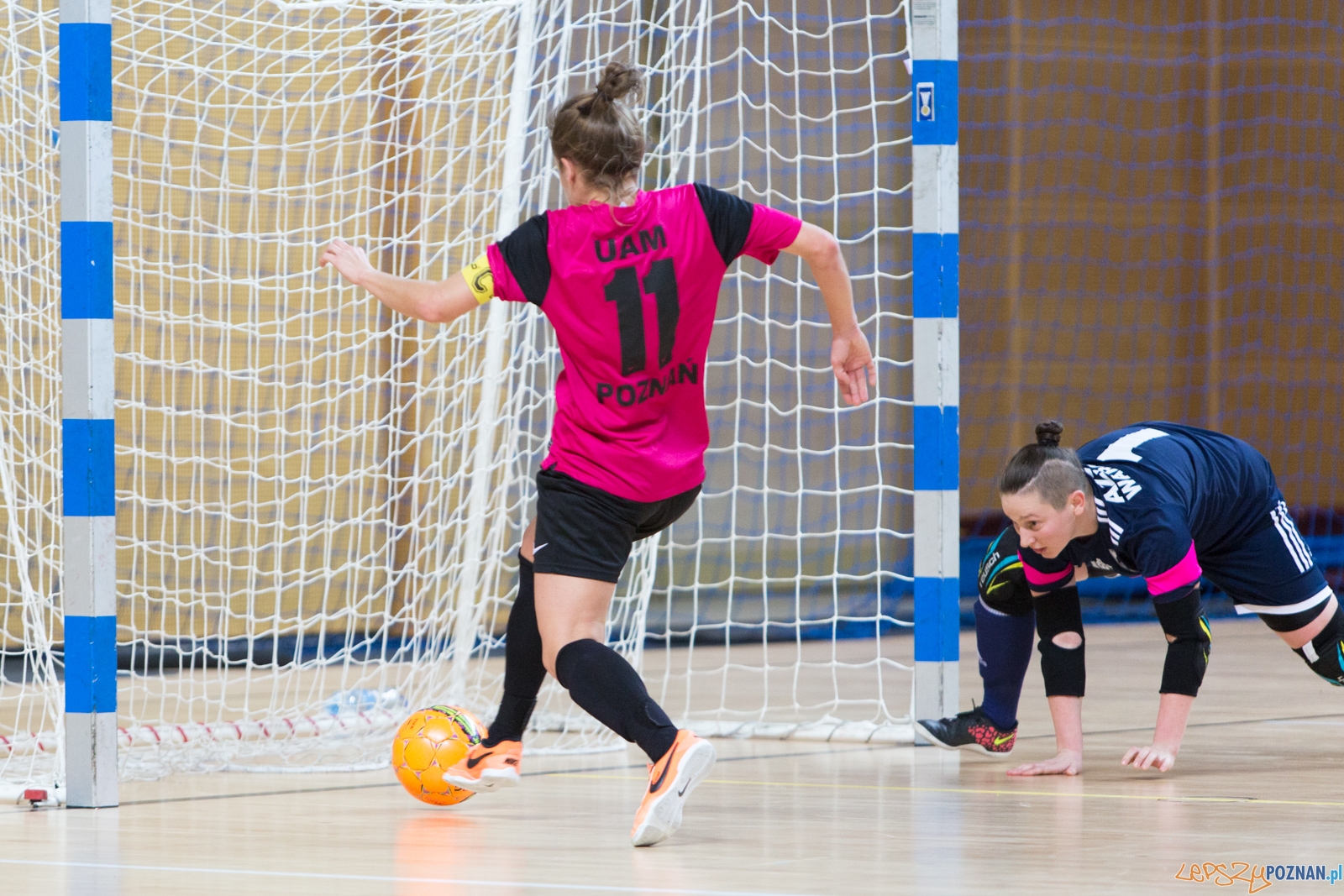 Futsal kobiet: AZS UAM Poznań - AZS AWF Warszawa Foto: lepszyPOZNAN.pl / Piotr Rychter Futsal kobiet: AZS UAM Poznań - AZS AWF Warszawa Foto: lepszyPOZNAN.pl / Piotr Rychter