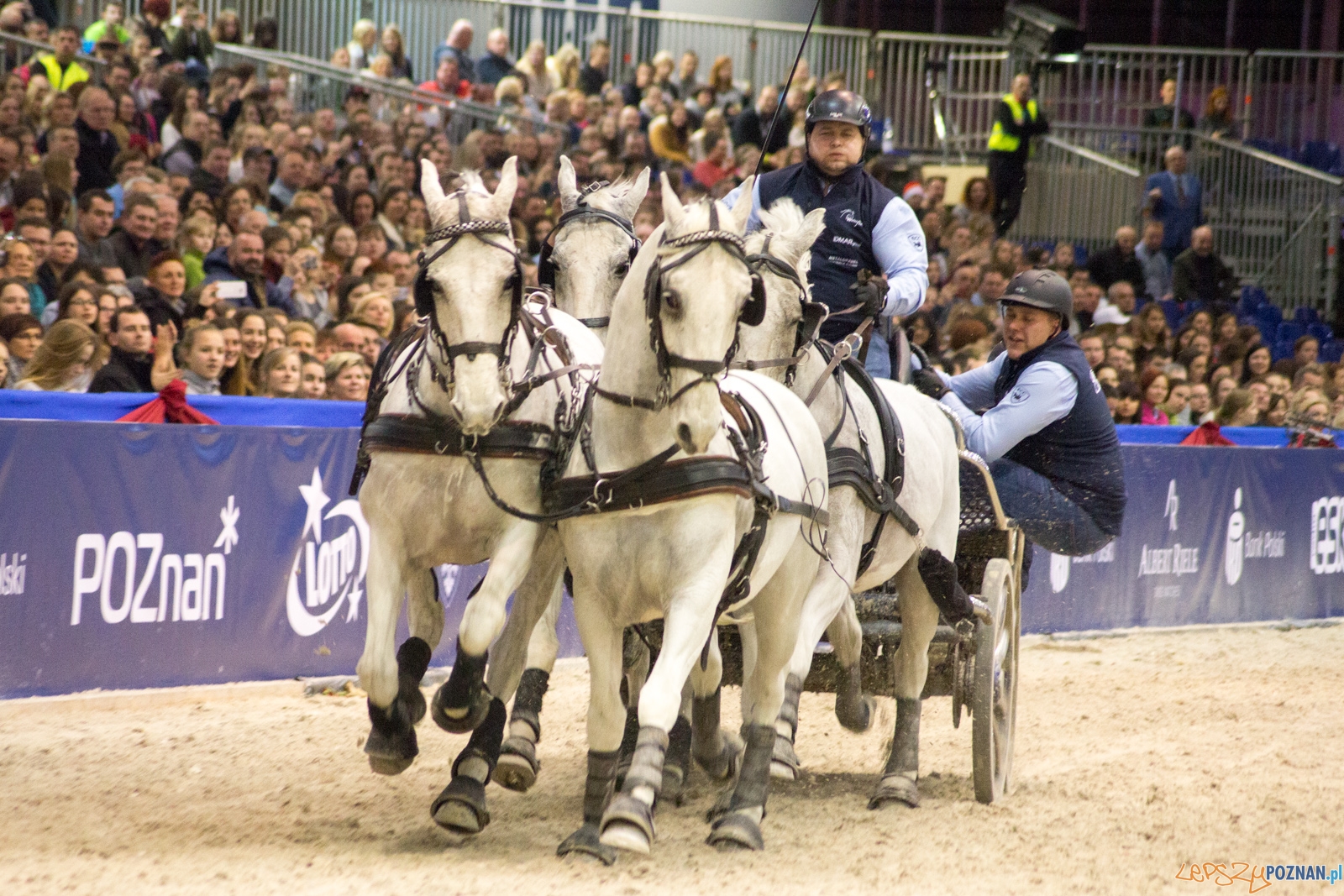 Cavaliada Halowy Puchar Polski w Powożeniu Zaprzęgami Czterok Foto: Ewelina Jaśkowiak Cavaliada Halowy Puchar Polski w Powożeniu Zaprzęgami Czterok Foto: Ewelina Jaśkowiak