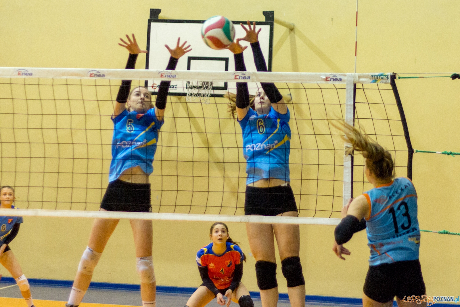 Energetyk Poznań - Alexas Turek Foto: Ewelina Jaśkowiak Energetyk Poznań - Alexas Turek Foto: Ewelina Jaśkowiak