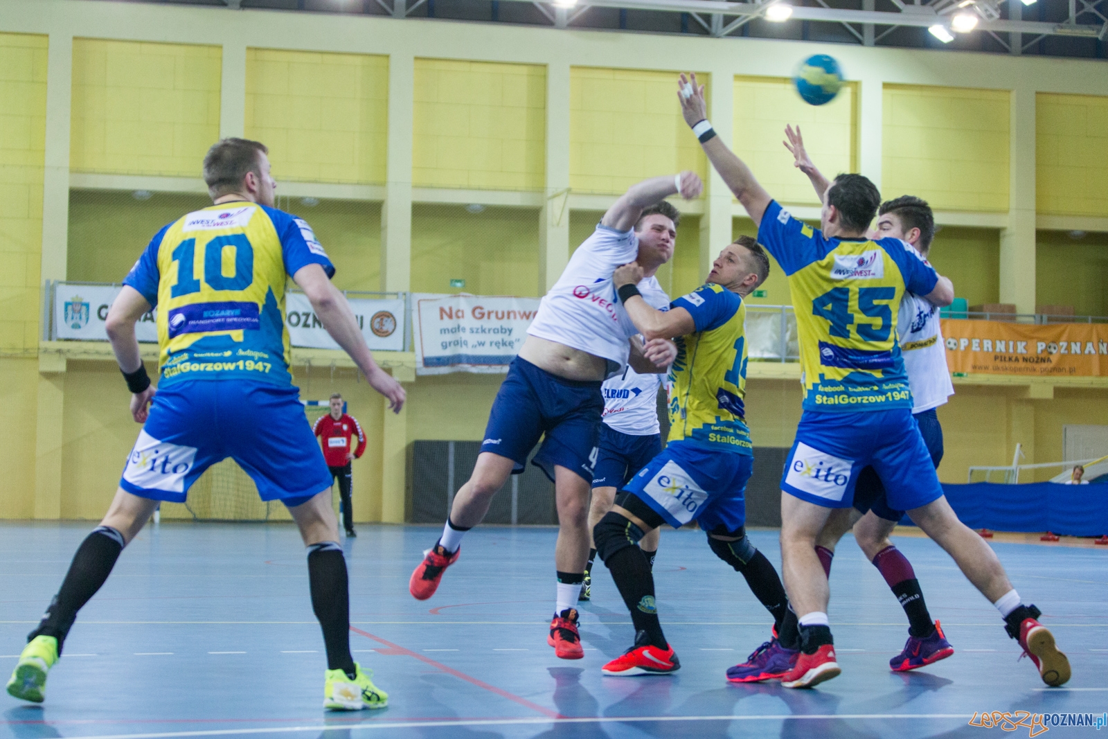 WKS Grunwald - Stal Gorzów Foto: lepszyPOZNAN.pl / Piotr Rychter WKS Grunwald - Stal Gorzów Foto: lepszyPOZNAN.pl / Piotr Rychter