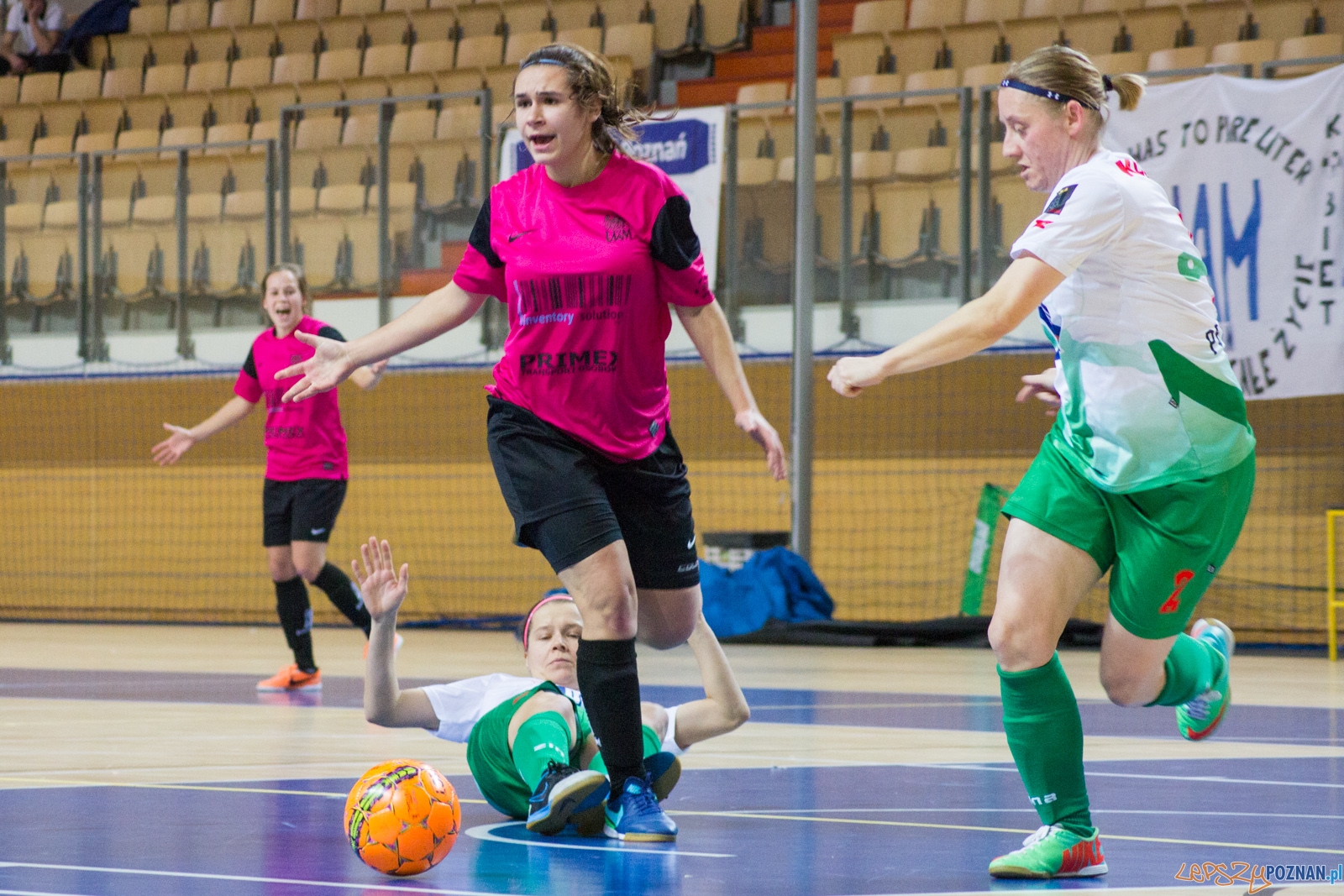 AZS UAM Poznań - Kotwica Kórnik Foto: Ewelina Jaśkowiak AZS UAM Poznań - Kotwica Kórnik Foto: Ewelina Jaśkowiak