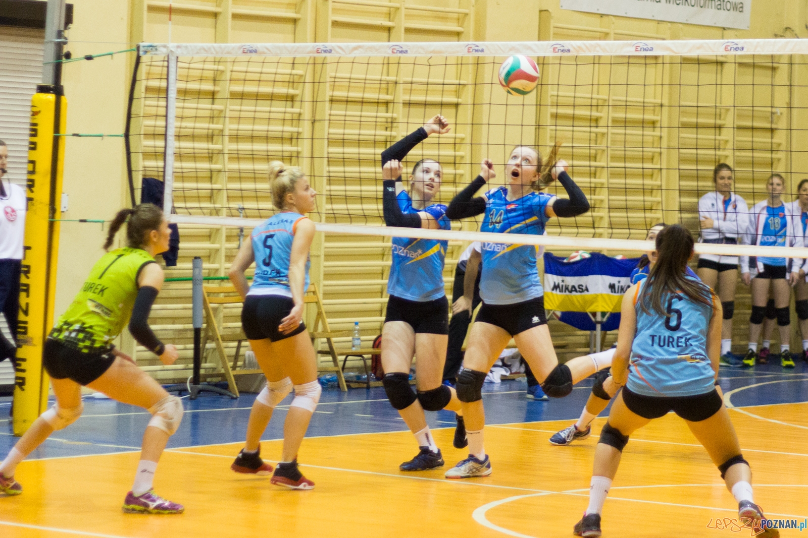 untitled-5592 Foto: Ewelina Jaśkowiak untitled-5592 Foto: Ewelina Jaśkowiak