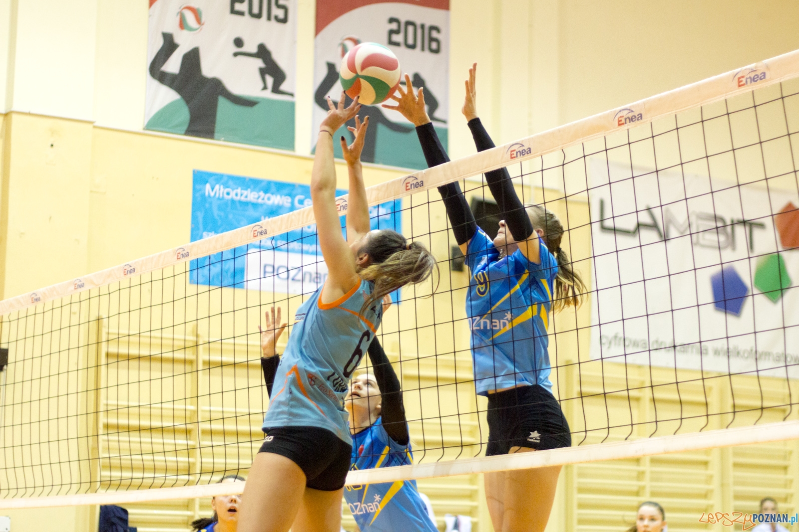 untitled-5326 Foto: Ewelina Jaśkowiak untitled-5326 Foto: Ewelina Jaśkowiak