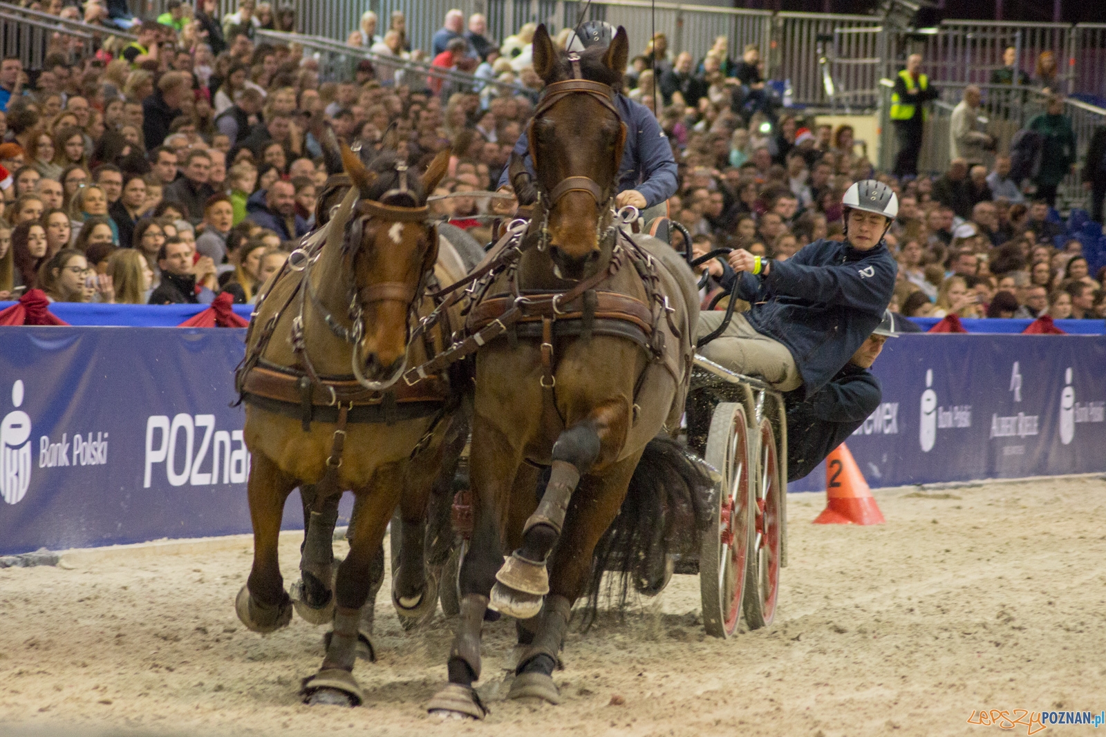 Cavaliada Halowy Puchar Polski w Powożeniu Zaprzęgami Czterok Foto: Ewelina Jaśkowiak Cavaliada Halowy Puchar Polski w Powożeniu Zaprzęgami Czterok Foto: Ewelina Jaśkowiak