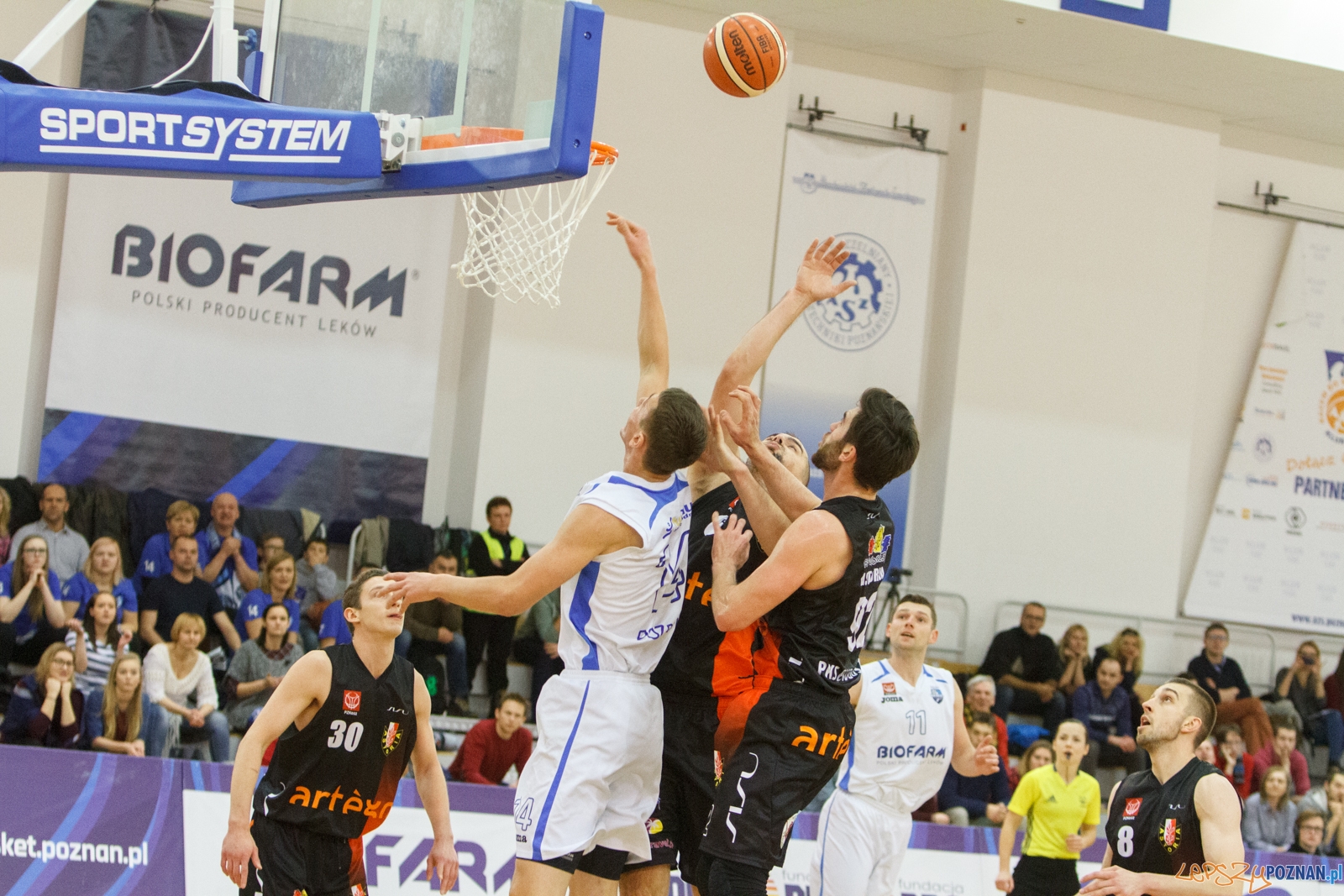 Biofarm Basket Poznań - Astoria Bydgoszcz - 1 liga - Poznań 17 Foto: LepszyPOZNAN.pl / Paweł Rychter Biofarm Basket Poznań - Astoria Bydgoszcz - 1 liga - Poznań 17 Foto: LepszyPOZNAN.pl / Paweł Rychter