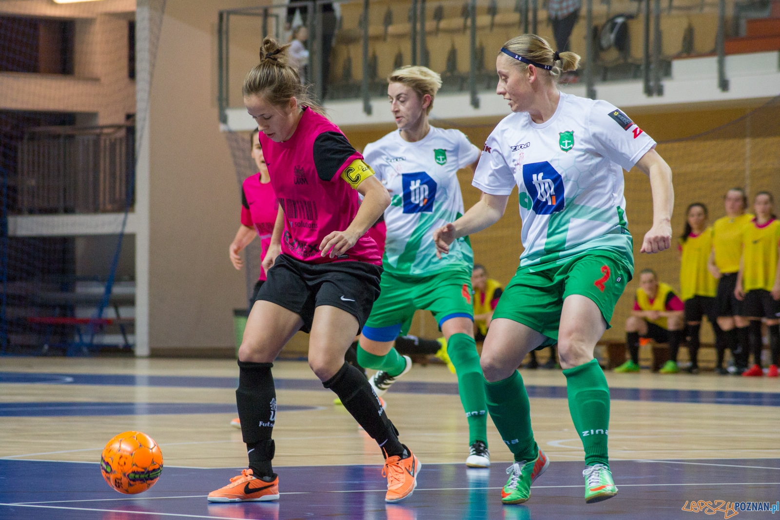 AZS UAM Poznań - Kotwica Kórnik Foto: Ewelina Jaśkowiak AZS UAM Poznań - Kotwica Kórnik Foto: Ewelina Jaśkowiak