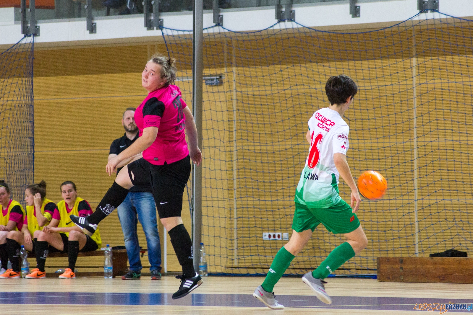 AZS UAM Poznań - Kotwica Kórnik Foto: Ewelina Jaśkowiak AZS UAM Poznań - Kotwica Kórnik Foto: Ewelina Jaśkowiak