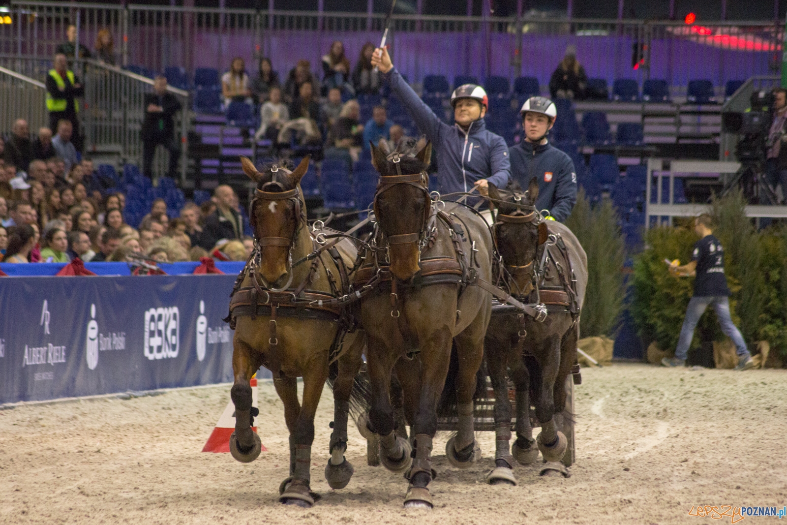 Cavaliada Halowy Puchar Polski w Powożeniu Zaprzęgami Czterok Foto: Ewelina Jaśkowiak Cavaliada Halowy Puchar Polski w Powożeniu Zaprzęgami Czterok Foto: Ewelina Jaśkowiak