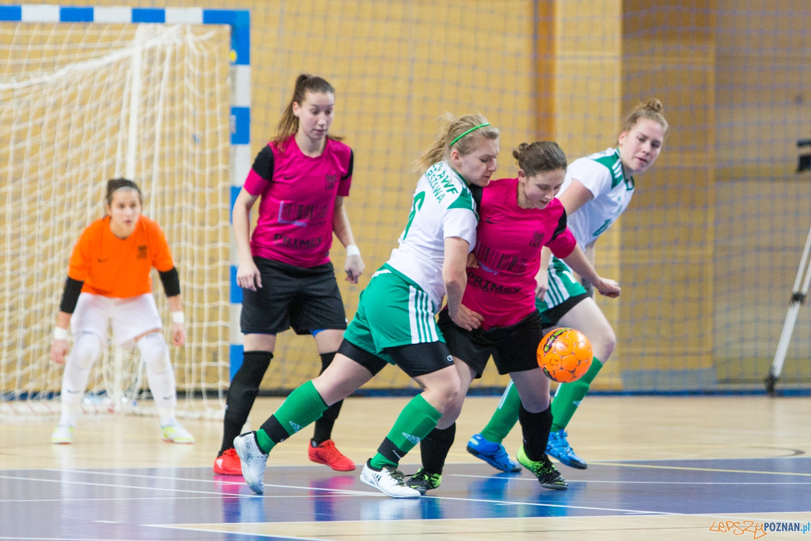 Futsal kobiet: AZS UAM Poznań - AZS AWF Warszawa Foto: lepszyPOZNAN.pl / Piotr Rychter Futsal kobiet: AZS UAM Poznań - AZS AWF Warszawa Foto: lepszyPOZNAN.pl / Piotr Rychter