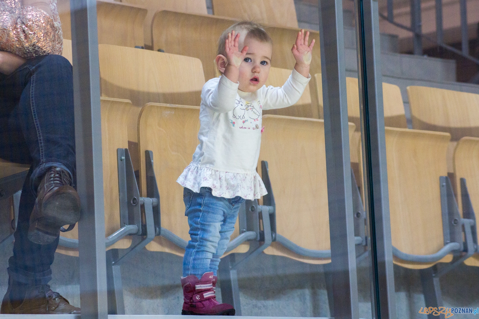 AZS UAM Poznań - Kotwica Kórnik Foto: Ewelina Jaśkowiak AZS UAM Poznań - Kotwica Kórnik Foto: Ewelina Jaśkowiak