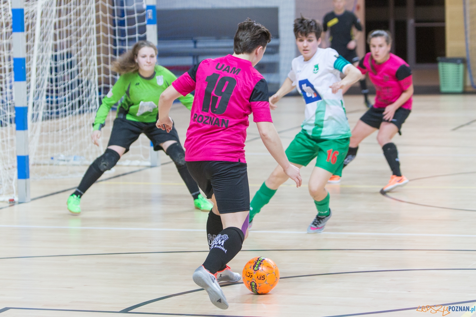 KS UAM Poznań - Kotwica Kórnik Foto: lepszyPOZNAN.pl / Piotr Rychter KS UAM Poznań - Kotwica Kórnik Foto: lepszyPOZNAN.pl / Piotr Rychter