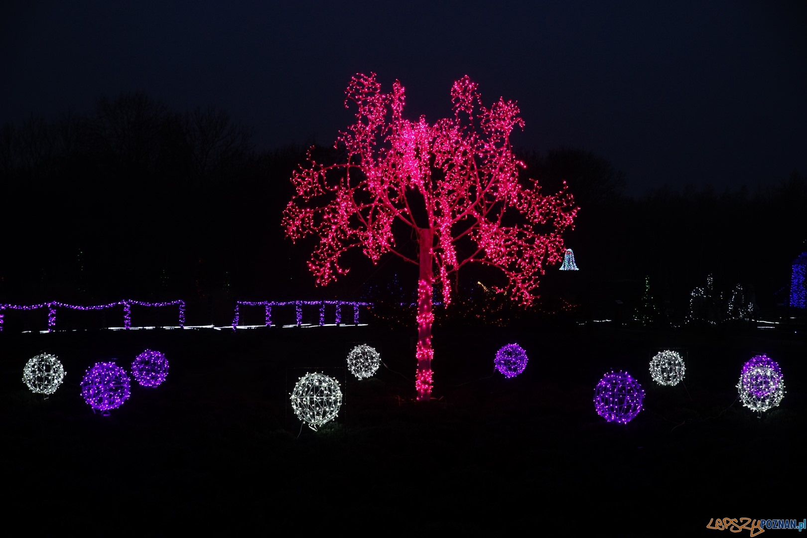 Kraina Świętego Mikołaja Foto: ExPress / materiały prasowe Kraina Świętego Mikołaja Foto: ExPress / materiały prasowe