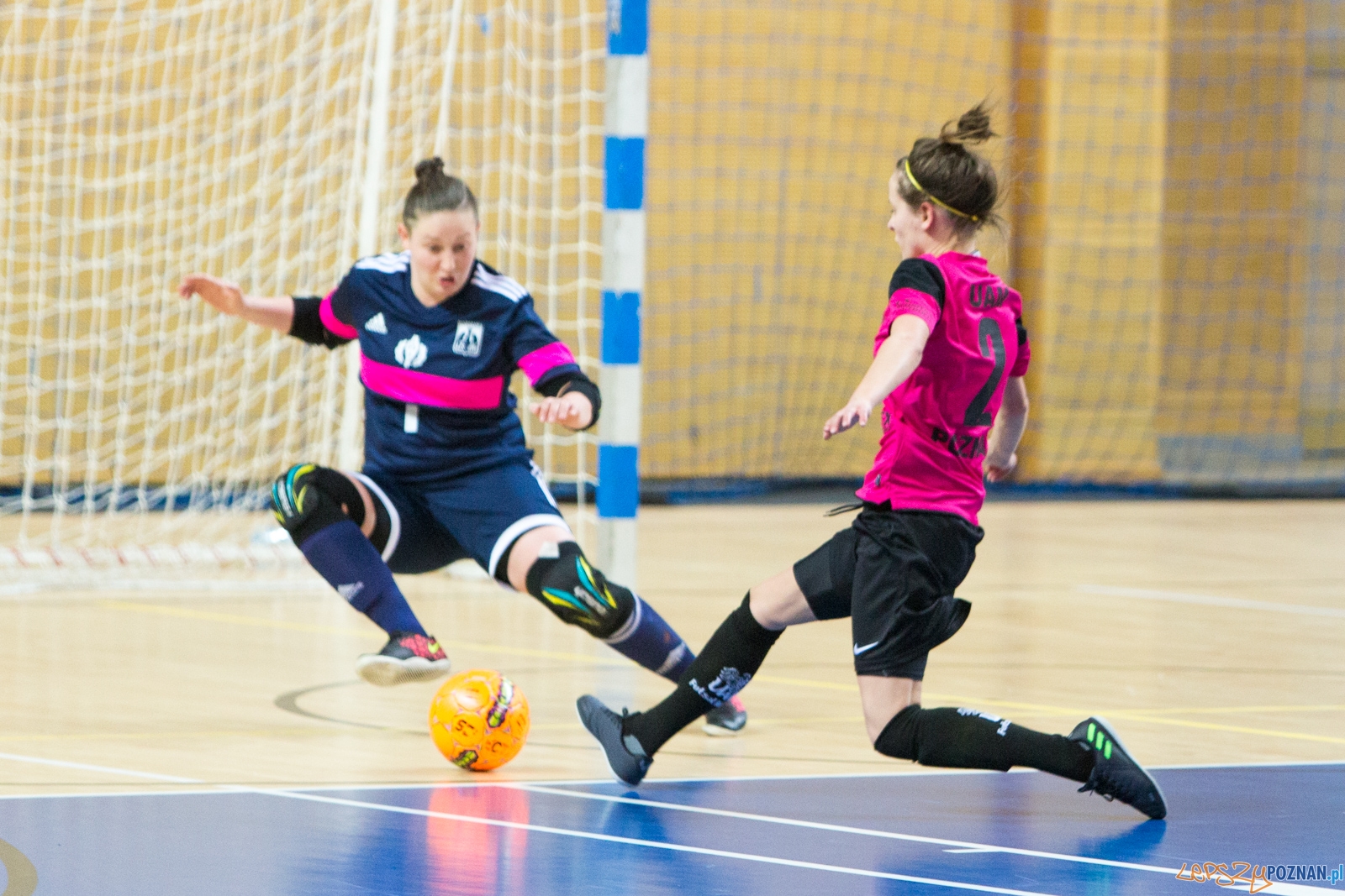 Futsal kobiet: AZS UAM Poznań - AZS AWF Warszawa Foto: lepszyPOZNAN.pl / Piotr Rychter Futsal kobiet: AZS UAM Poznań - AZS AWF Warszawa Foto: lepszyPOZNAN.pl / Piotr Rychter