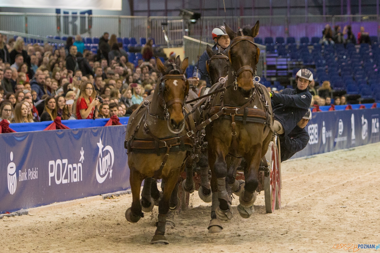 Cavaliada - Halowy Puchar Polski w Powożeniu Zaprzęgami Cztero Foto: lepszyPOZNAN.pl / Piotr Rychter Cavaliada - Halowy Puchar Polski w Powożeniu Zaprzęgami Cztero Foto: lepszyPOZNAN.pl / Piotr Rychter