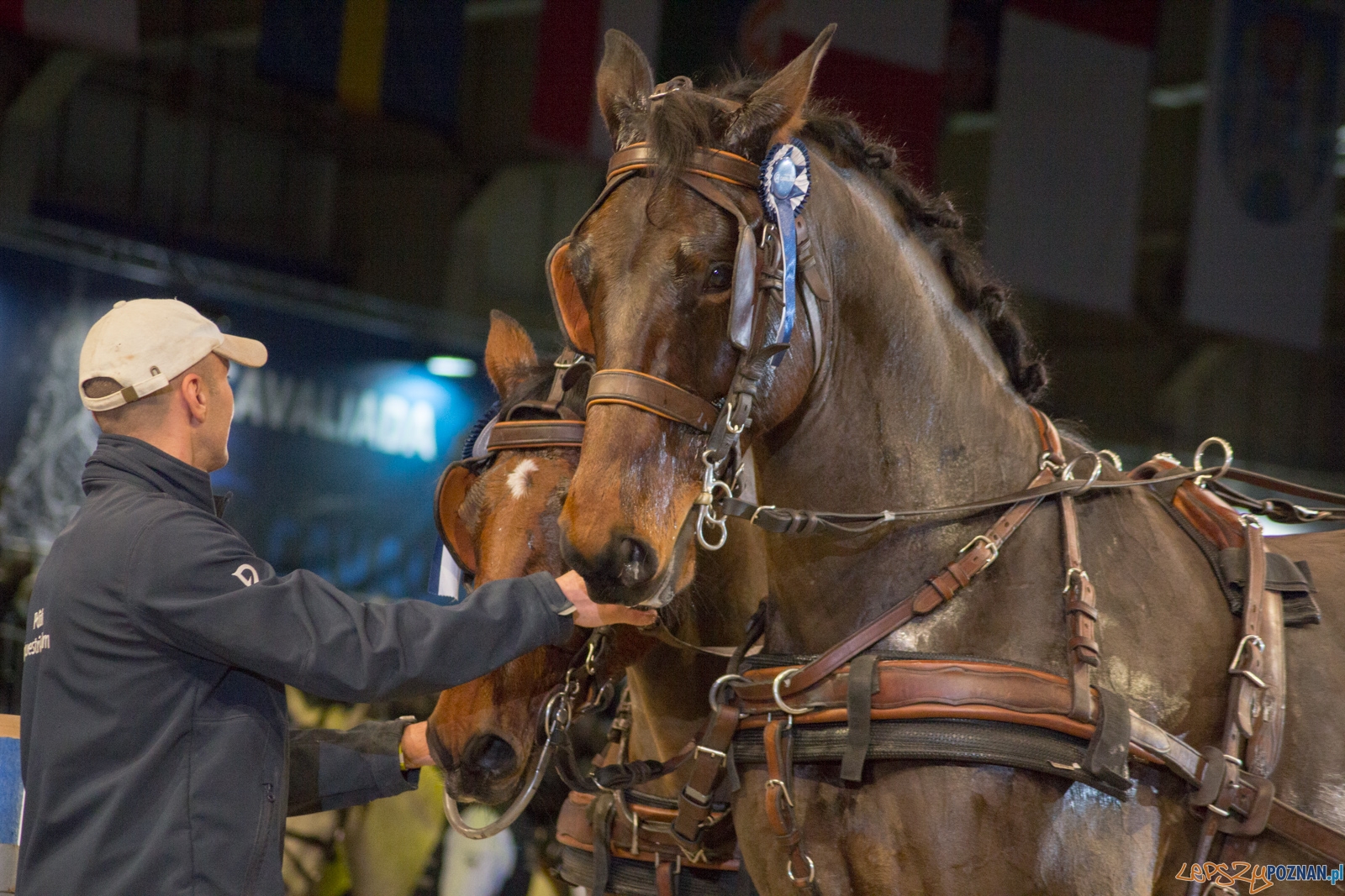 Cavaliada Halowy Puchar Polski w Powożeniu Zaprzęgami Czterok Foto: Ewelina Jaśkowiak Cavaliada Halowy Puchar Polski w Powożeniu Zaprzęgami Czterok Foto: Ewelina Jaśkowiak
