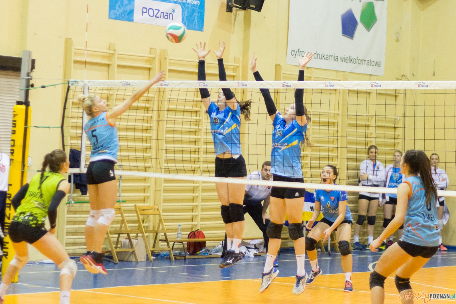 untitled-5590 Foto: Ewelina Jaśkowiak untitled-5590 Foto: Ewelina Jaśkowiak