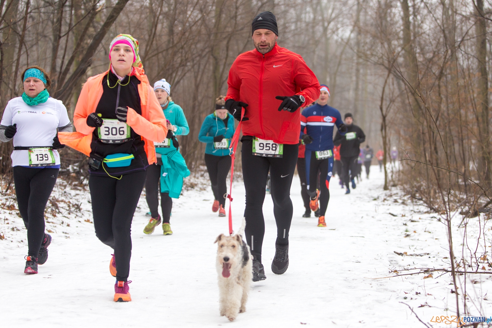 City Trail Poznań Foto: lepszyPOZNAN.pl / Piotr Rychter City Trail Poznań Foto: lepszyPOZNAN.pl / Piotr Rychter