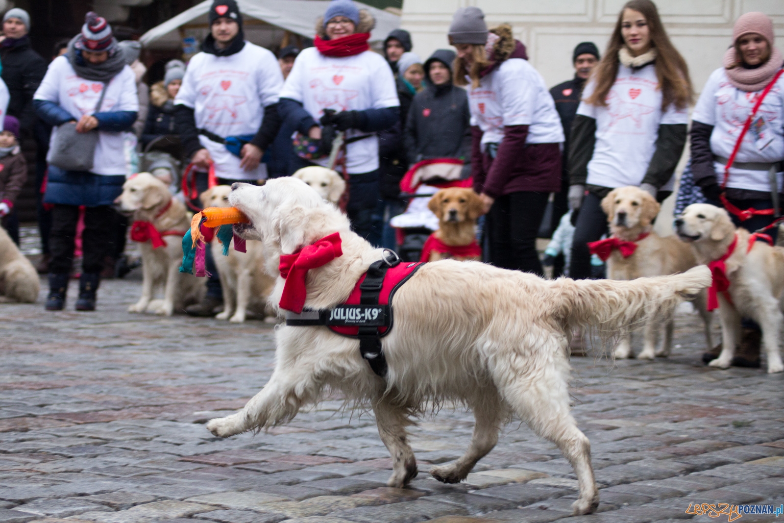 25. Finał Wielkiej Orkiestry Świątecznej Pomocy Foto: Ewelina Jaśkowiak 25. Finał Wielkiej Orkiestry Świątecznej Pomocy Foto: Ewelina Jaśkowiak