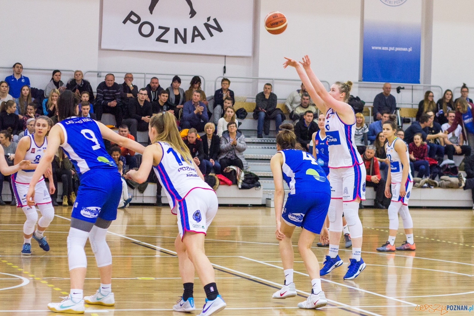 Enea AZS Poznań - ŁKS SMS Łódź Foto: Ewelina Jaśkowiak Enea AZS Poznań - ŁKS SMS Łódź Foto: Ewelina Jaśkowiak