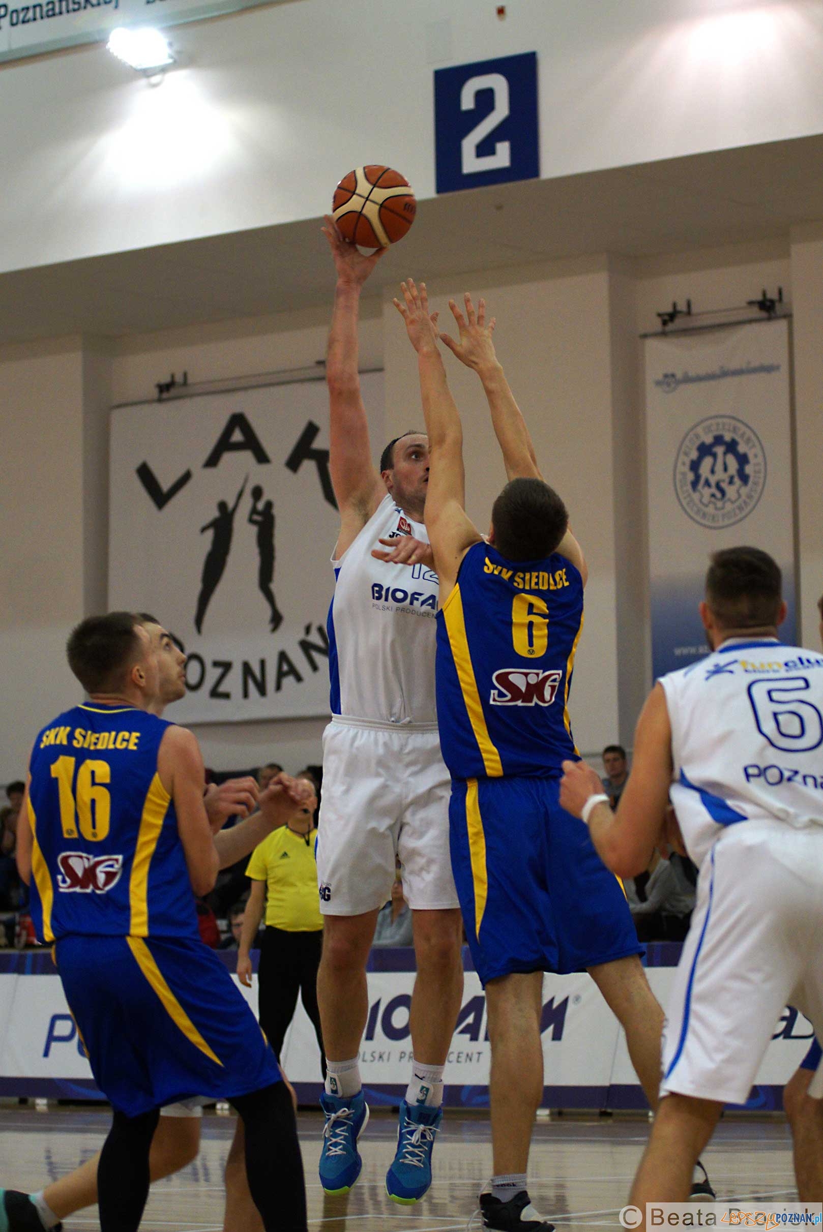 SKK Siedlce - Biofarm Basket Foto: Beata Brociek / BBP SKK Siedlce - Biofarm Basket Foto: Beata Brociek / BBP