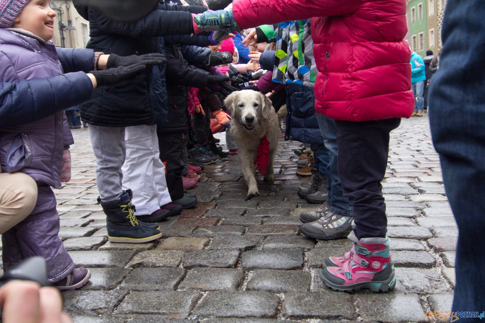 25. Finał Wielkiej Orkiestry Świątecznej Pomocy Foto: Ewelina Jaśkowiak 25. Finał Wielkiej Orkiestry Świątecznej Pomocy Foto: Ewelina Jaśkowiak
